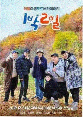 啄木鸟电影 - 向往的生活